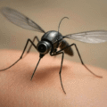 Nano drones are here: tiny tech, big risks